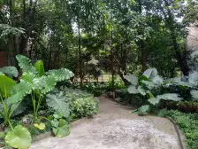 会呼吸的洋房 同天绿岸一楼洋房 大端户 带80平米花园