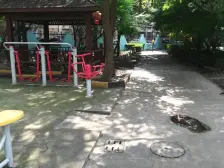 次顶楼三房,业主诚意出售,楼间距能加得上电梯