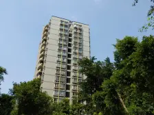 南坪商圈 小高层 正规一室一厅 户型方正 双轻轨