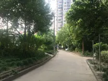 近世纪大道,世纪汇百联,一房一厅,户型方正,采光通风效果好