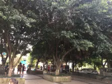 凤天路 新桥医院 9号线 美林公寓 精装两房 朝南!