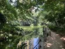 珠江华轩 6室2厅 东南 西北