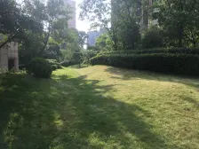 小区中间,满五双气电梯房,地铁口