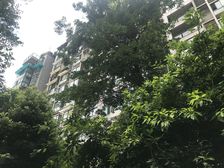 金沙愉景一期6室1厅西南