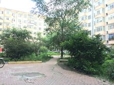 二楼一室一厅精装东向随时看有钥匙