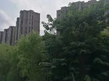 14号线400米 半小时静安寺 人车分流小区小三房