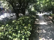 学府大道69号如果 1室1厅 北