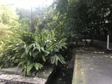 近公交轻轨,装修四房,中间楼层,出行方便,随时可看