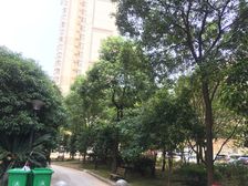 供电红谷小区 3室2厅 南