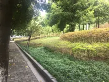 宏宁天成 2室1厅 东南