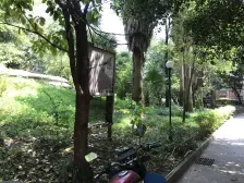 大三房 交通方便 动物园轻轨站 永辉CH A O市 配套齐全