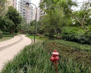 麓山国际半月湾3室2厅东南