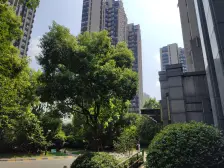 南北通户型,采光无遮挡,精装,地铁口,随时看房