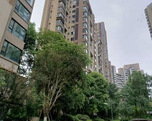 麓山国际云曦台3室1厅东南南