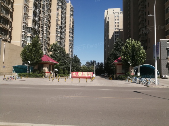 红星国际