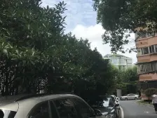 不是顶楼,沿河一排,采光和通风好,视野开阔