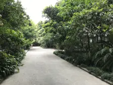 九龙明珠 3室1厅 南