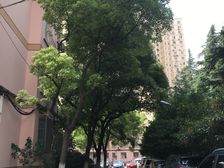 近地铁产权清晰无抵押,随时看房,新上房源