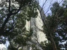 碧云东壹栋 1室1厅 东 东南