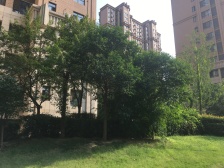 地铁3号线旁,双气电梯房,南北通透三房,园林小区