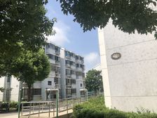 临港新片区5楼附带阁楼,精装大三房,户型正气