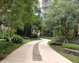 麓山国际云曦台3室2厅西南