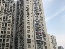 住家装修,正规三房,户型方正,总价低,业主诚心卖