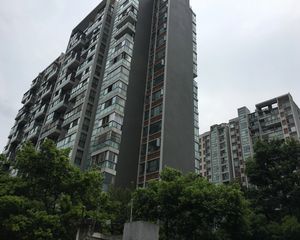 白鸽岛尚3室1厅西南