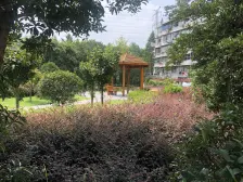 双南户型 采光优异 业主自住装修 业主24小时可看