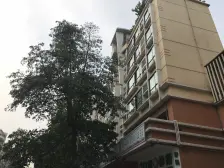 保广场 高层视野开阔 可整层出租出售。