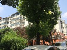户型优质复式自住装修拎包入住诚意出售