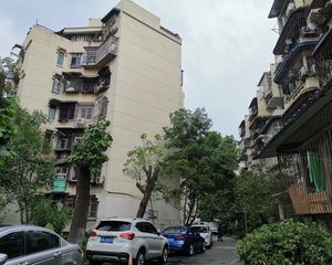 棕竹街3号2室1厅东南