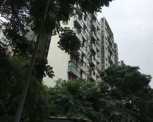 白鸽岛尚2室1厅西南