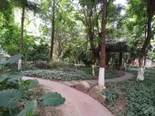阳光华庭 精装修四房 朝小区中庭 住家安静
