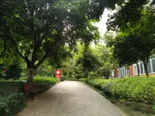 南坪阳光华庭 大客厅 视野开阔 价格便宜