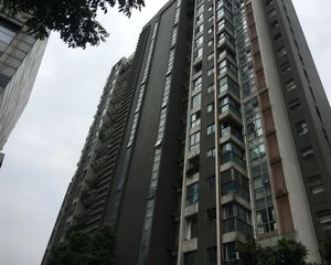 白鸽岛尚3室1厅西南