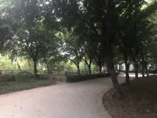 两房两卫改三房,近轻轨,高楼层视野开阔