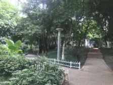 近轻轨环线 带 巴 全 户型房子 采光好