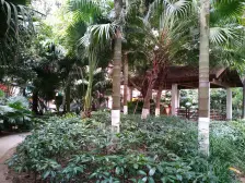 房子精装,视野开阔,采光好,业主诚心出售