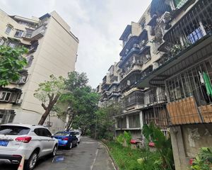 棕竹街3号3室1厅南北