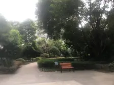 照母山洋房底跃大花园 实得250㎡左右 完善部分土建