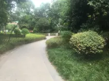 照母山 协信春山台五房650万