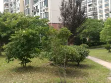 江桥·爱德佳苑(二期)·2室·2厅