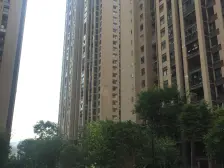 大学城 金科廊桥水乡美丽湾四房241万