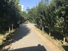 稻田一路1号院诚心出售看房方便
