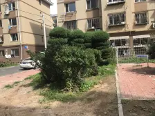 南北通透 近市场,出行便利,看好价格可谈