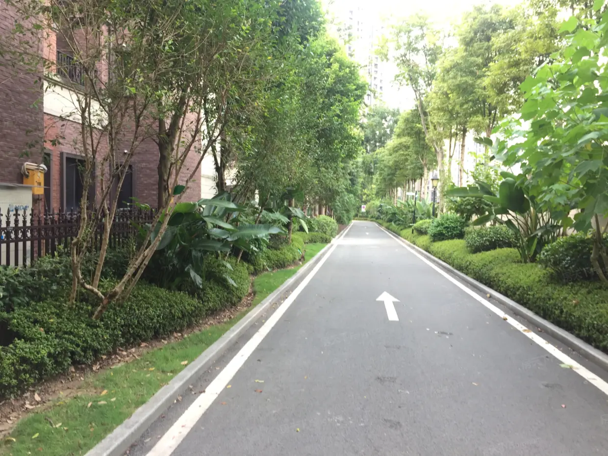 金科廊桥水乡美丽墅