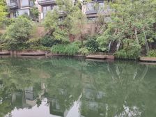 麓湖生态城蓝花屿 3室2厅 东南