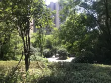 观音桥 保利江上明珠馨园四房175万