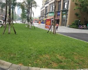 万科金域缇香二期3室2厅东北